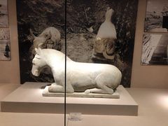 -宁夏博物馆