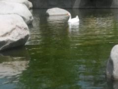 -清凉寺