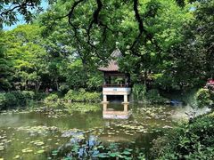 -上海醉白池公园