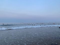 -南戴河海滨市场