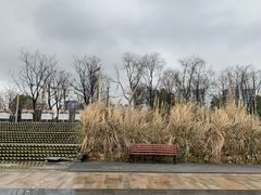-上海山野camping·户外天幕烧烤·团建拓展营地