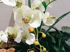 -渝信川菜(工体店)