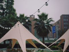 -棕榈MALL