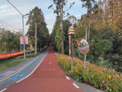 -上海长兴岛郊野公园