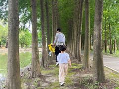 -柳鹭田园区