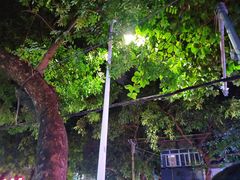 -凤姐泰国糖水(创业路店)