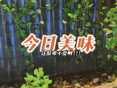 -滇香肴·云南菜蒸汽石锅鱼(云南北路店)