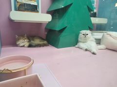 -吾悦广场(南京鼓楼店)