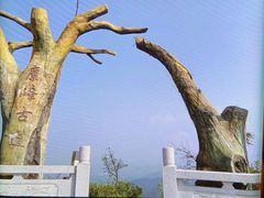 -长沙黑麋峰国家森林公园