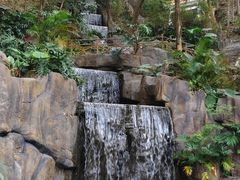 -广州市流溪河国家森林公园