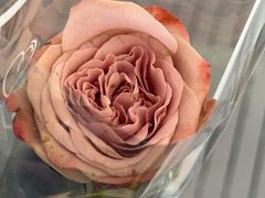 -万达广场(南京江宁店)