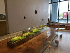 -喜茶(永旺梦乐城店)