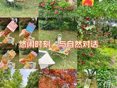 -南山植物园