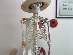 -杏林康桥中医正骨·体态矫正·跌打损伤·推拿按摩(国贸建外SOHO店)