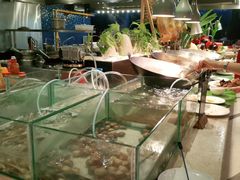 -三亚福朋喜来登酒店·大堂吧
