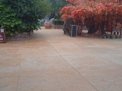 -郑州方特梦幻王国