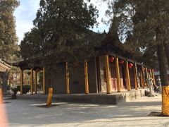 兴教寺-兴教寺