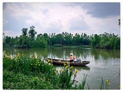 -白鹭湾湿地公园