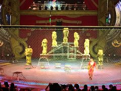 -珠海横琴长隆《卡卡虎奇遇记》