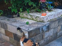 -贵阳北天主教堂