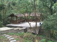 -广州市帽峰山景区