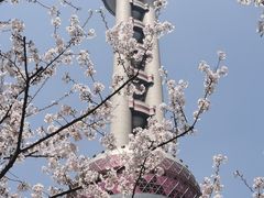 -东方明珠广播电视塔