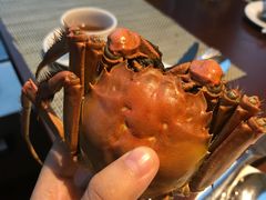 -景湖轩全日制餐厅·南湖名都
