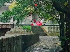 -碧峰峡风景区
