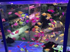 -三旗百汇商品城