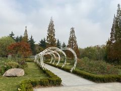 -昆山城市生态森林公园