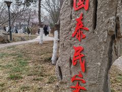 -桃花堤公园