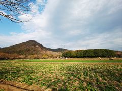 -八卦田遗址公园