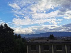 -蘑统田下·野生菌火锅