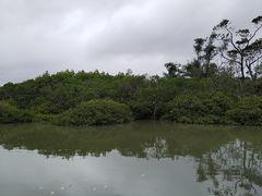 -东寨港红树林旅游区