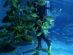 -常州海昌海洋探索馆