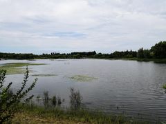 -东郊湿地公园