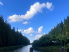 -黄海国家森林公园