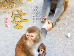 -黔灵山公园