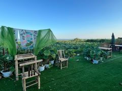 -七的湖·晚芳亭·阳澄湖农家菜·大闸蟹(莲花岛店)