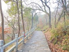 -灵岩山风景区