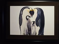 -罗红摄影艺术馆