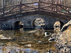 -白水寺森林公园