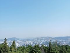 -原山国家森林公园