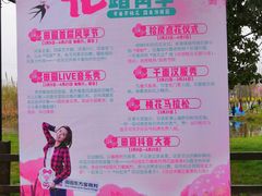 -田园东方蜜桃村的田野营地