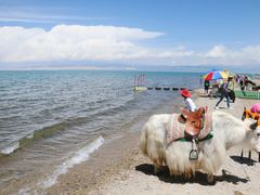 -青海湖国家重点风景名胜区
