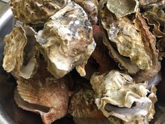 -宾朋海鲜特色美食餐厅·纯手工鲅鱼水饺(兴海路店)