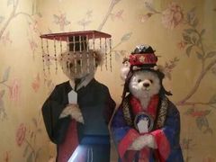 泰迪熊博物馆-济州岛泰迪熊博物馆