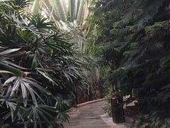 -龙达温泉生态城