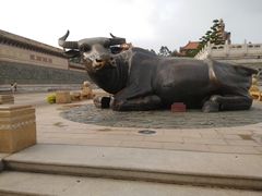 -广东圆玄道观