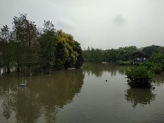 -海珠湖公园